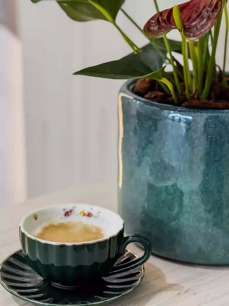 Euro Clinic, Café e Flor